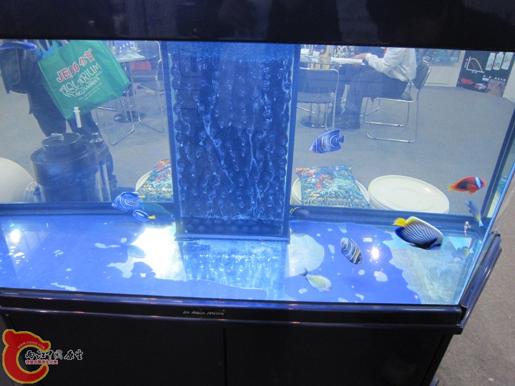 IMG_3306.JPG