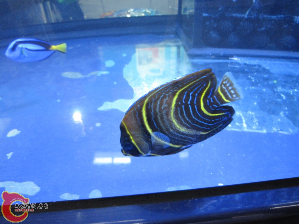 IMG_3308.JPG