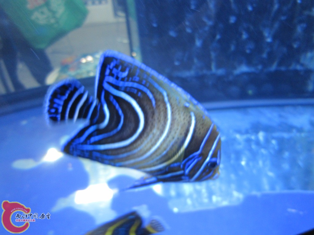 IMG_3309.JPG