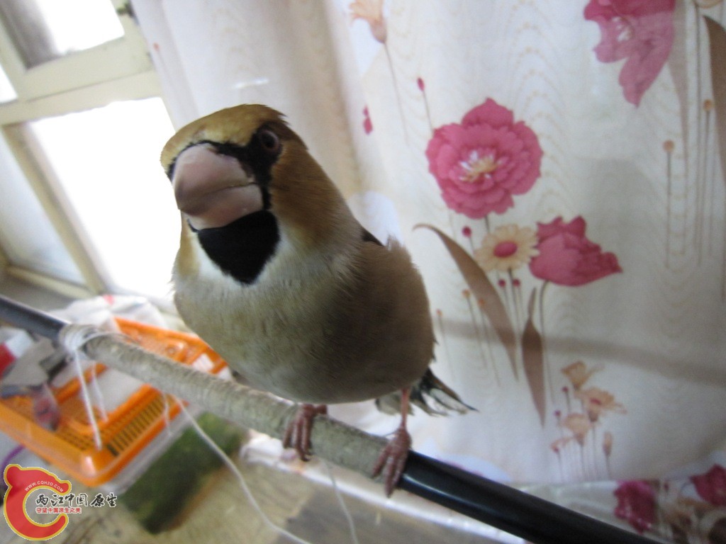 IMG_3446.JPG
