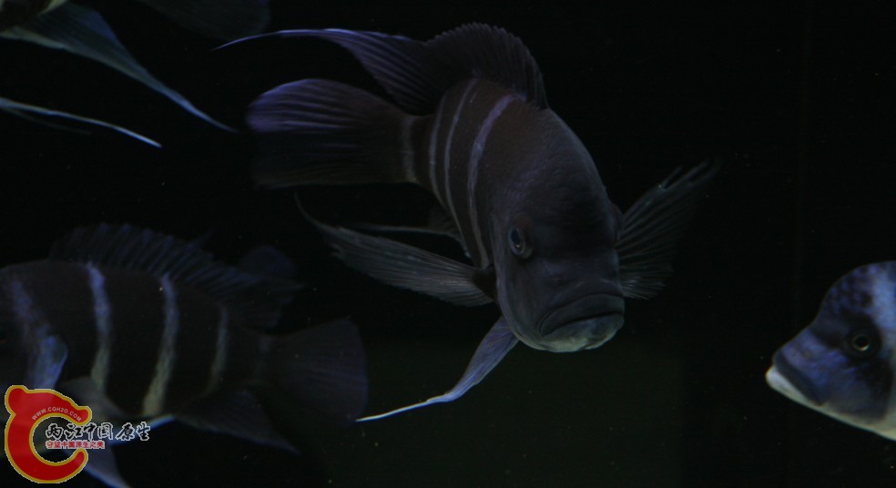 02.jpg