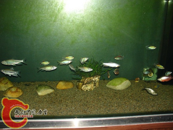 DSC03350.jpg