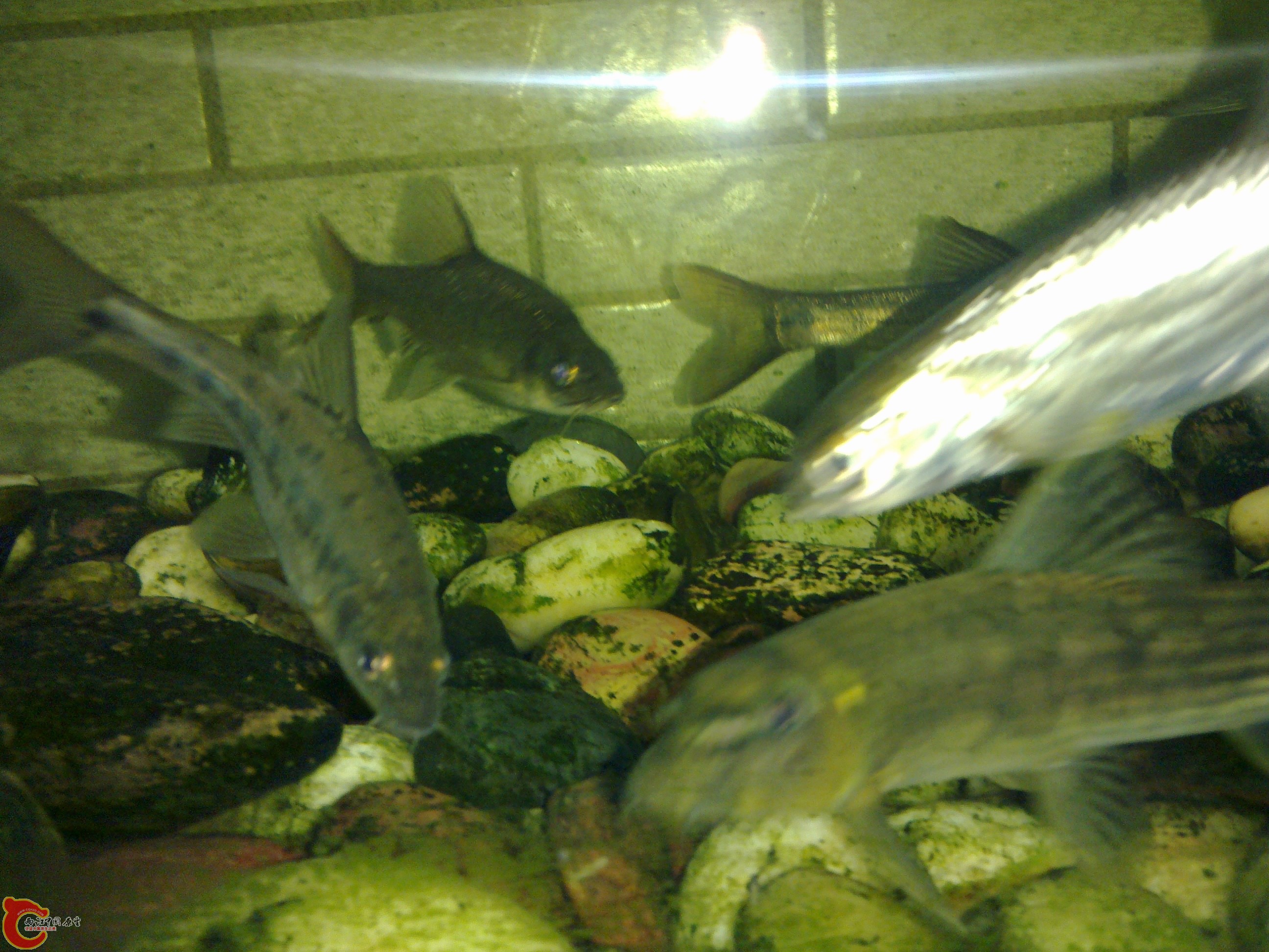 20101101337.jpg