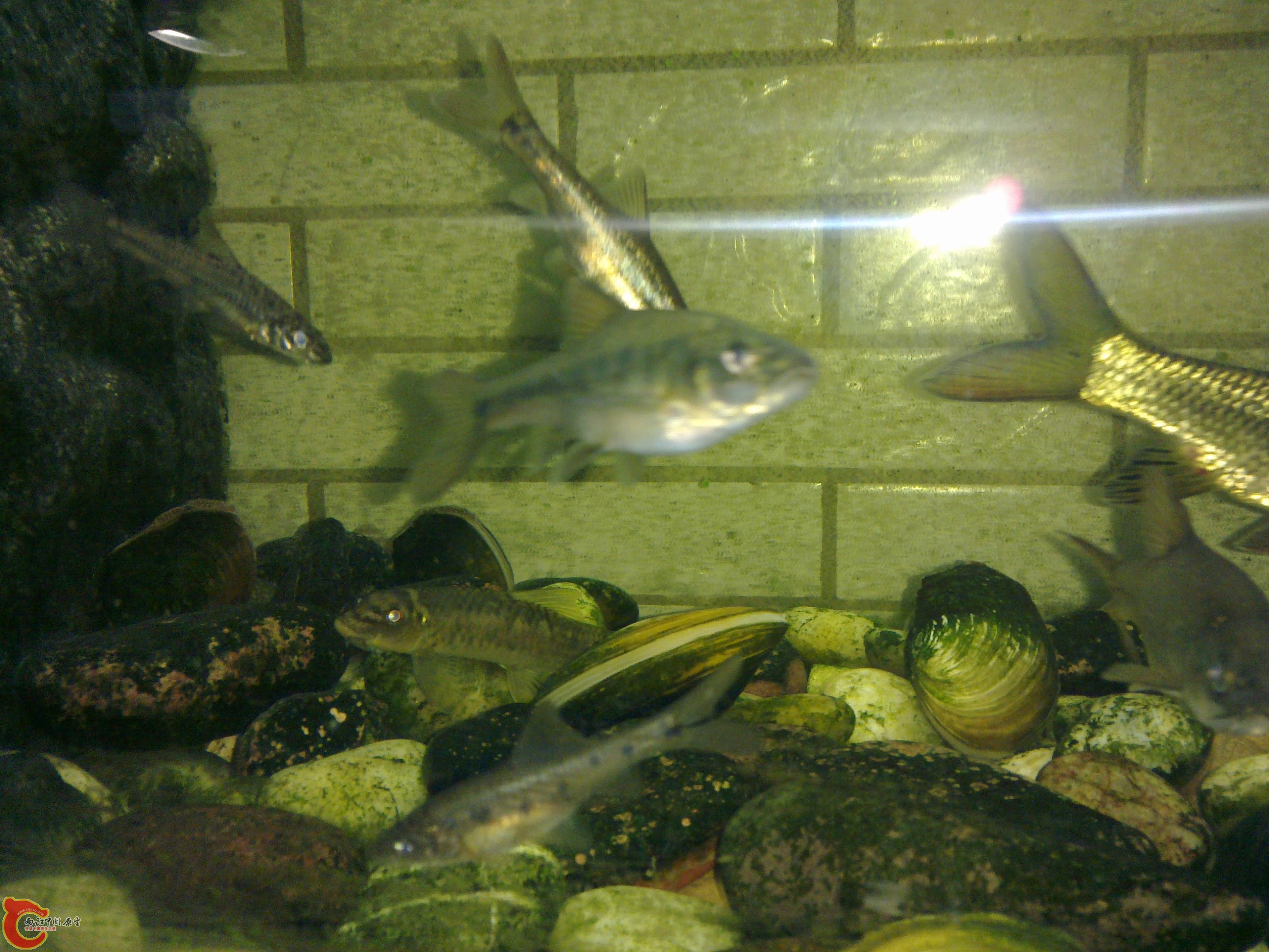 20101101342.jpg