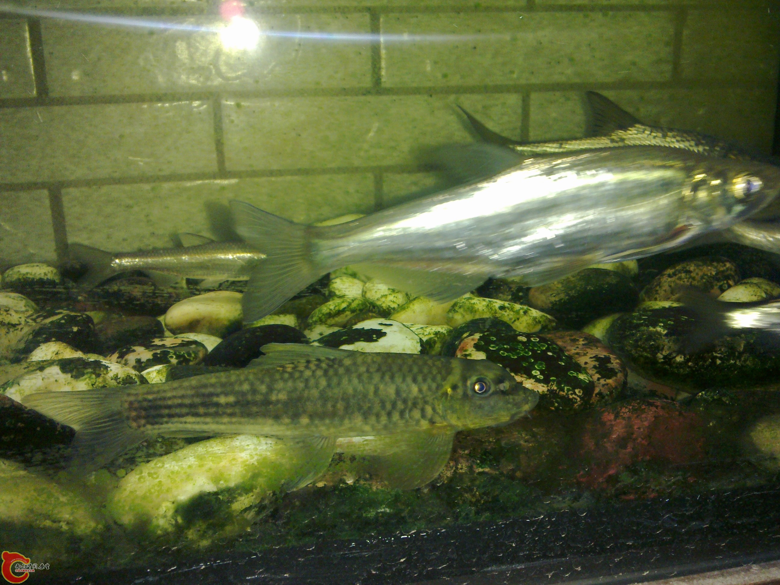 20101101344.jpg