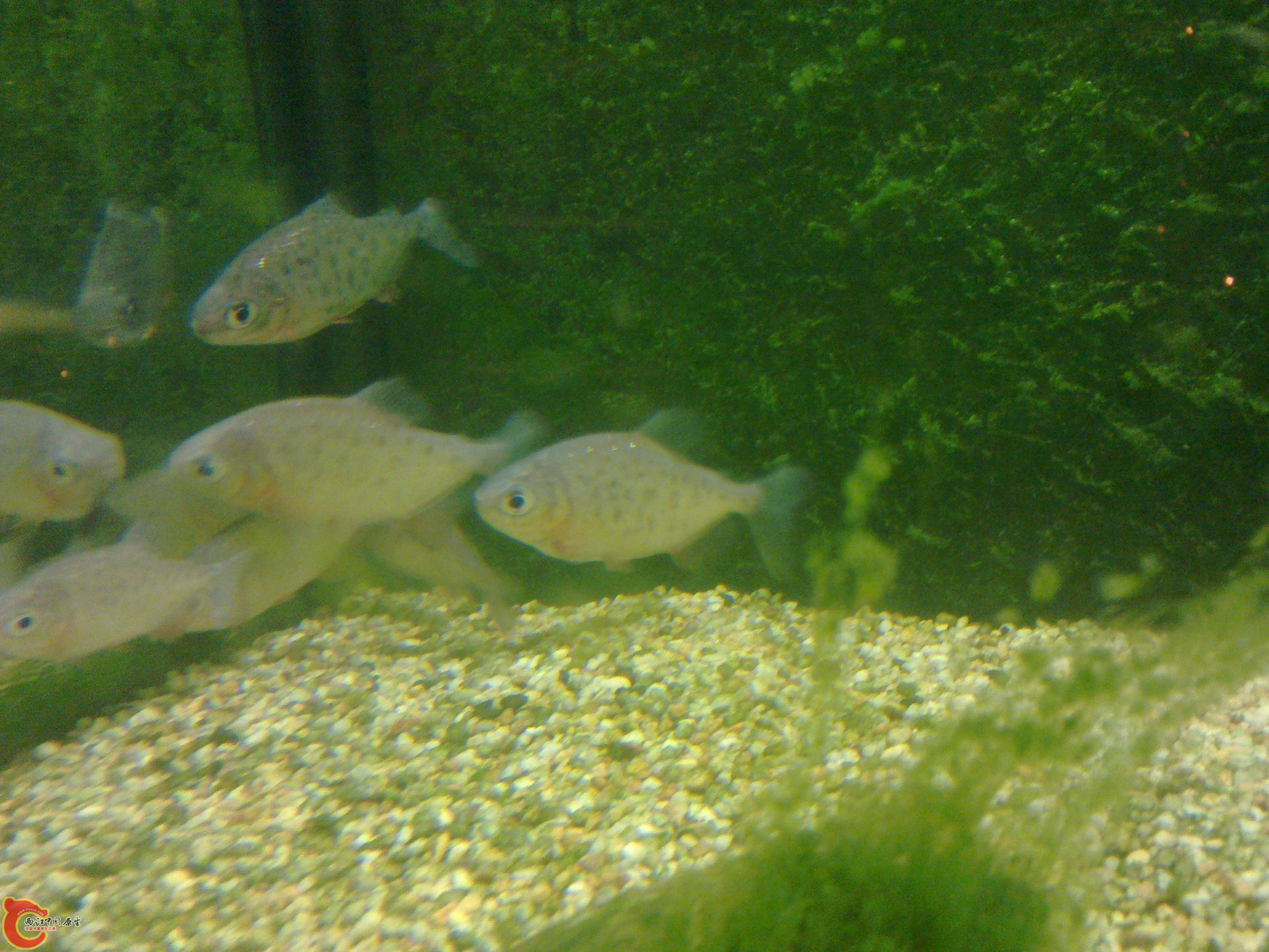 20101101394.jpg