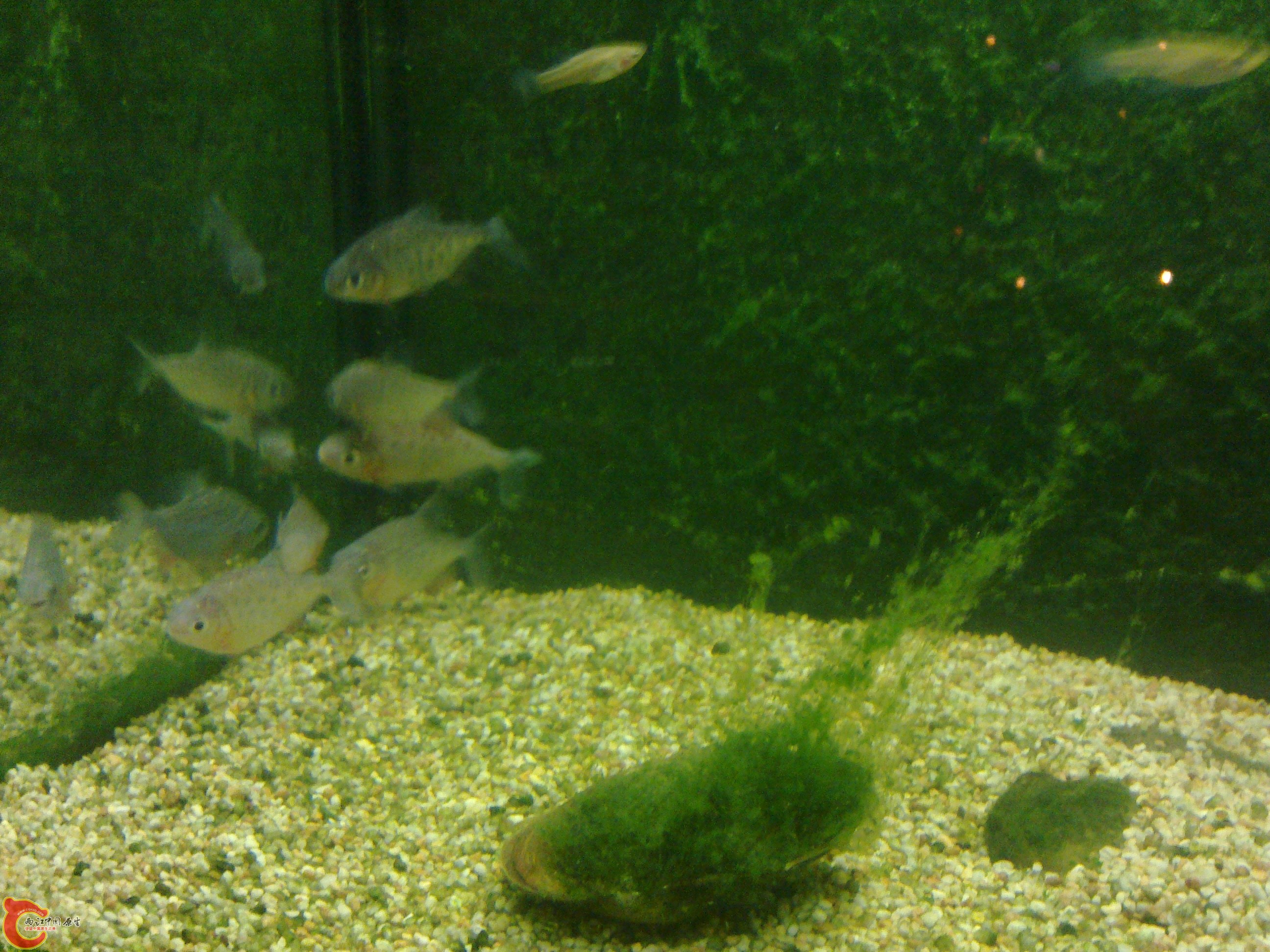 20101101392.jpg