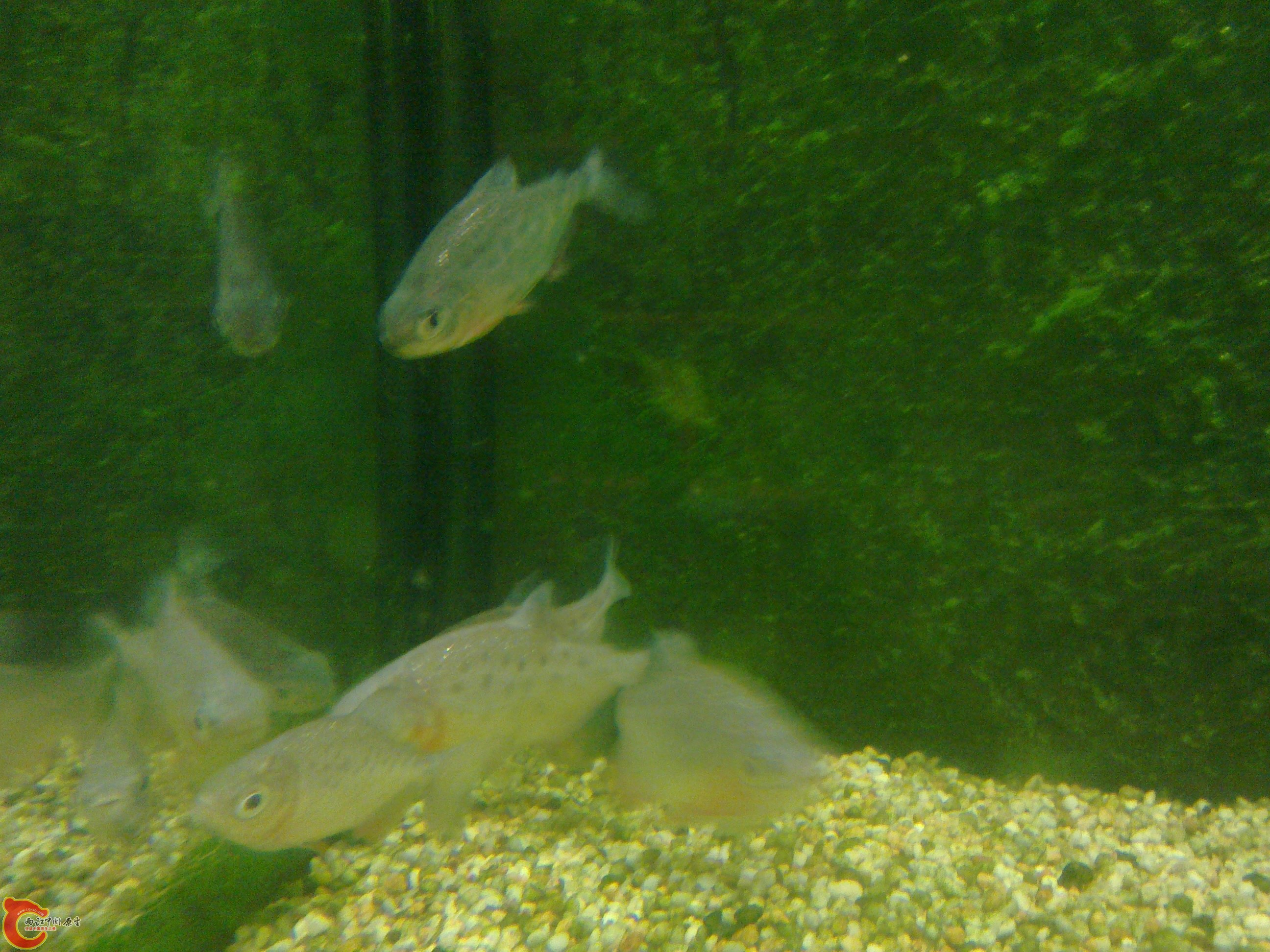 20101101393.jpg