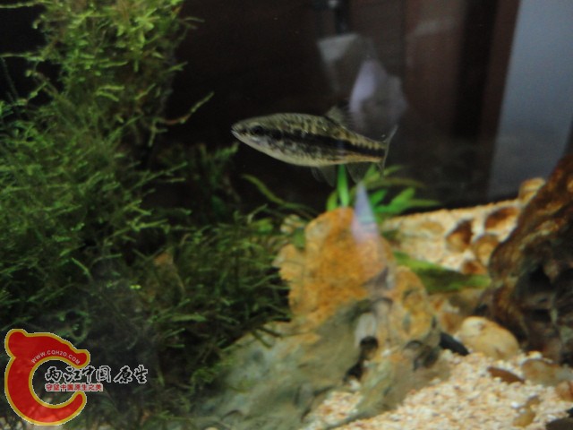 DSC00015.JPG