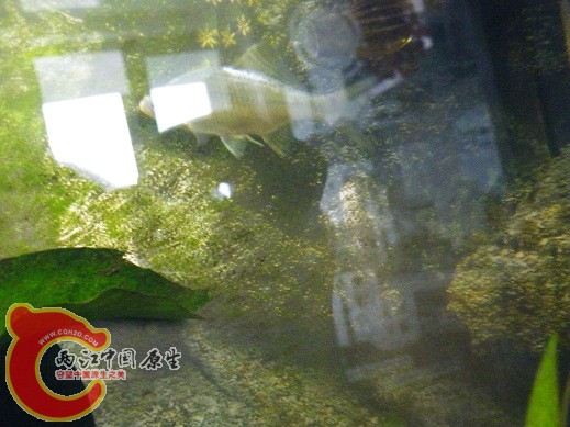 DSCF4864.JPG