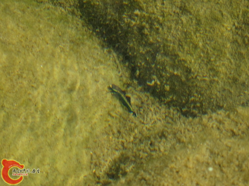 IMG_1299.JPG
