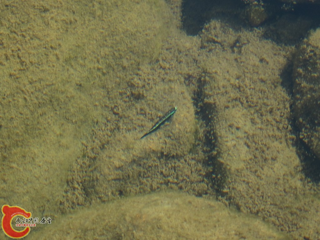 IMG_1279.JPG