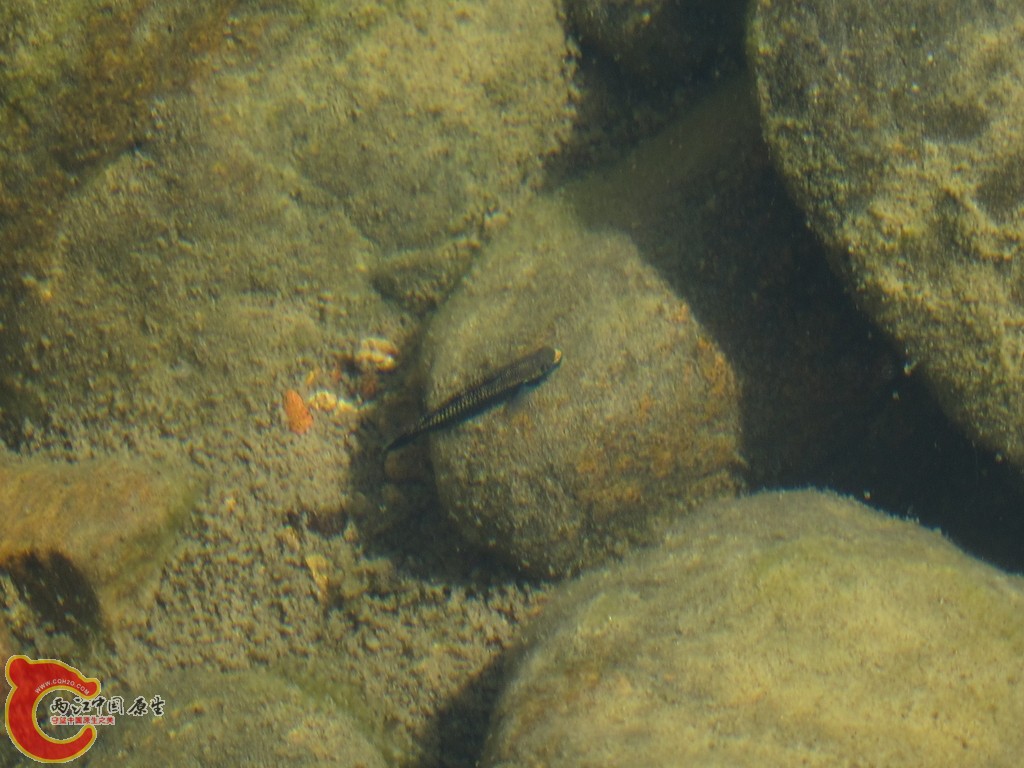 IMG_1293.JPG