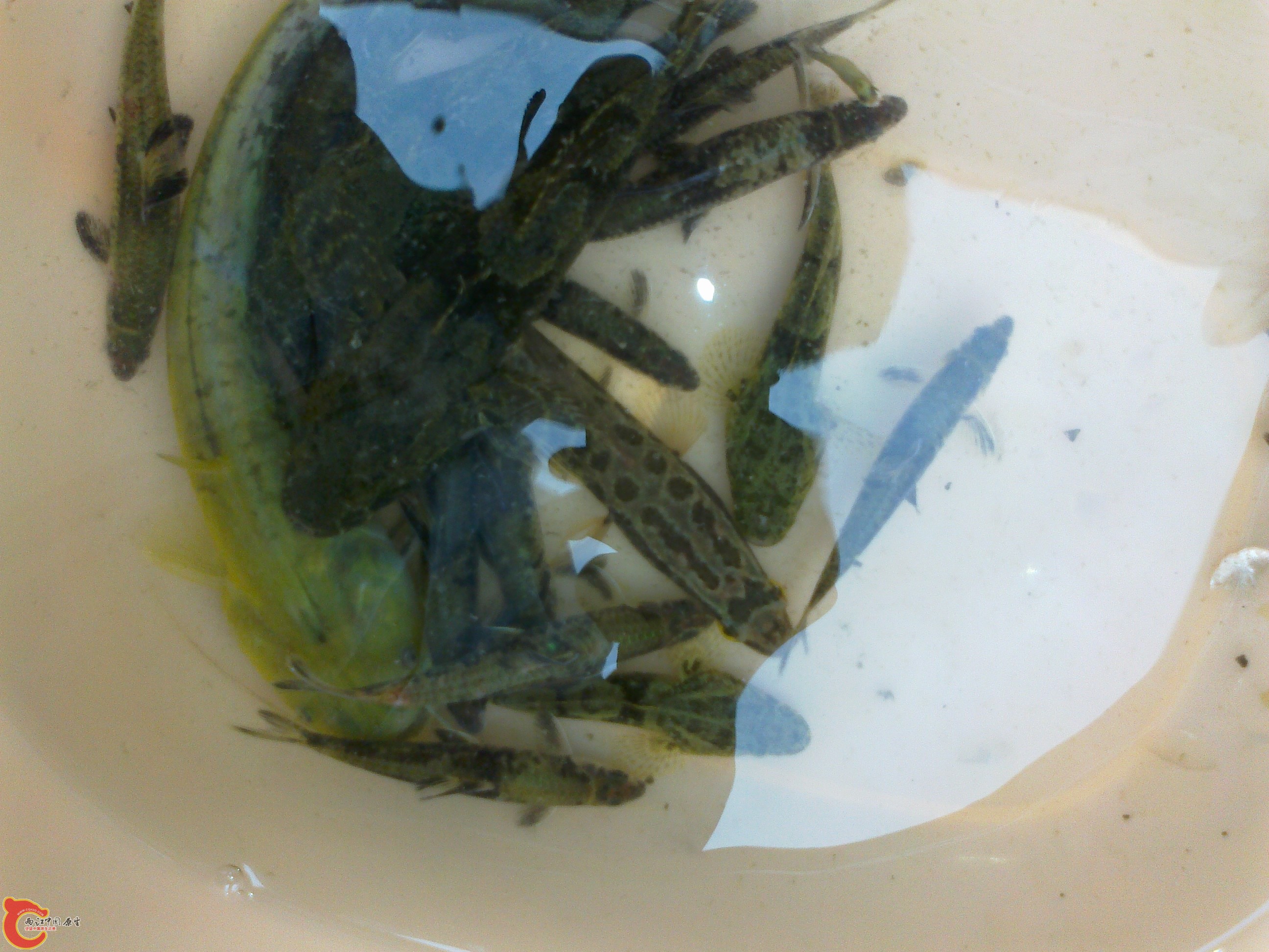 20101102093.jpg