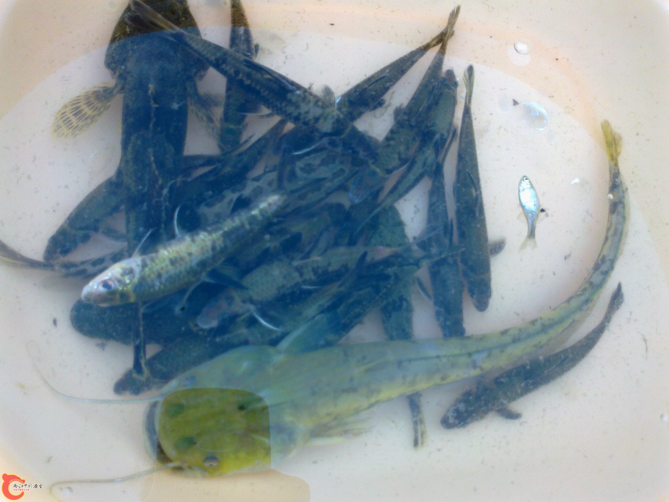 20101102094.jpg