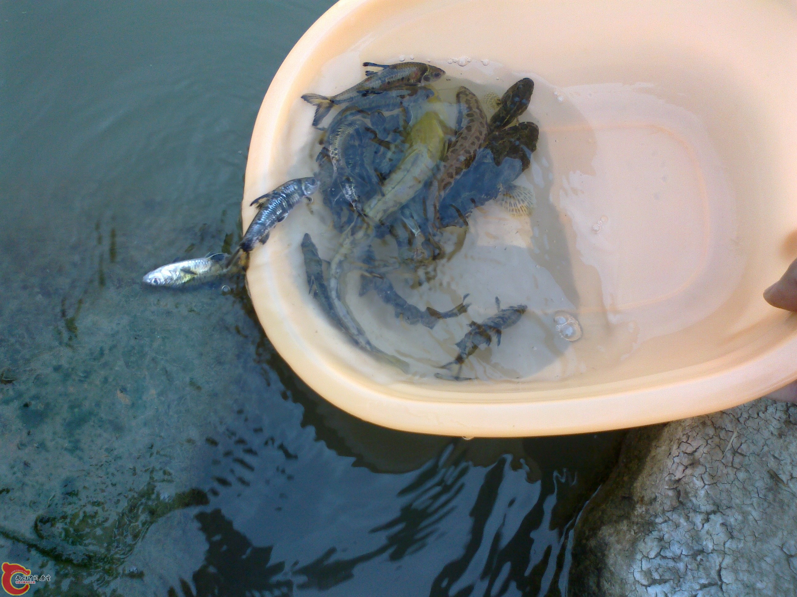 20101102095.jpg