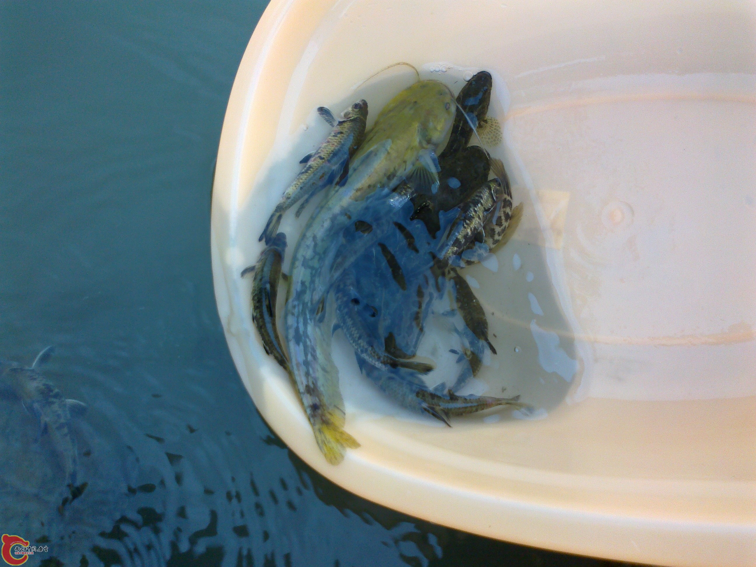 20101102096.jpg
