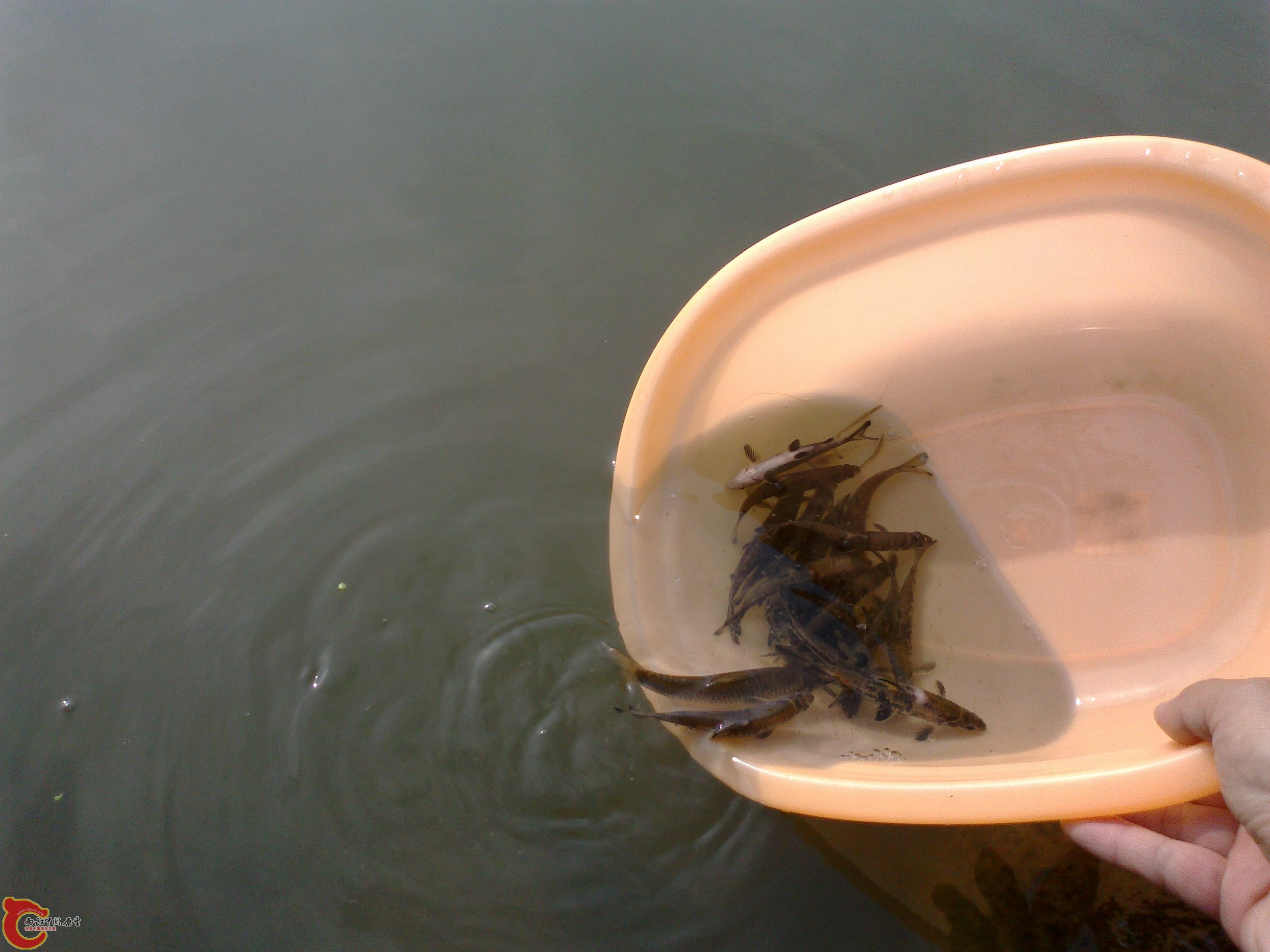 20101108107.jpg