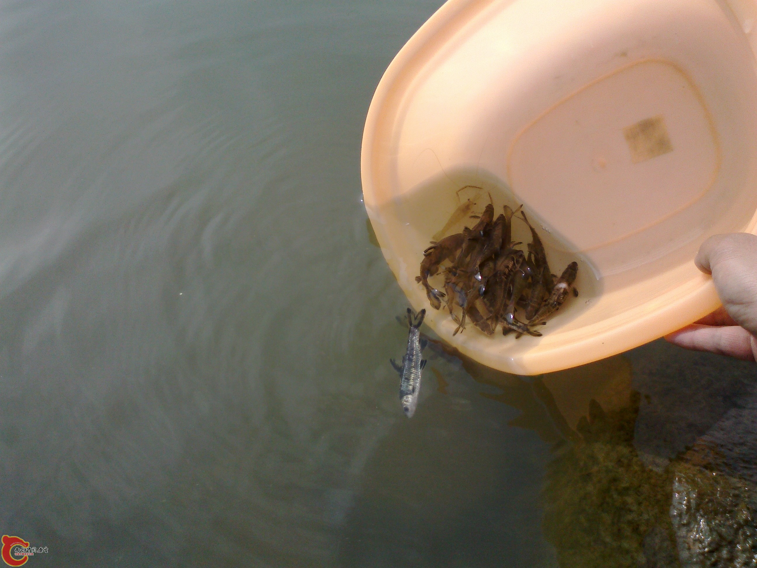 20101108108.jpg