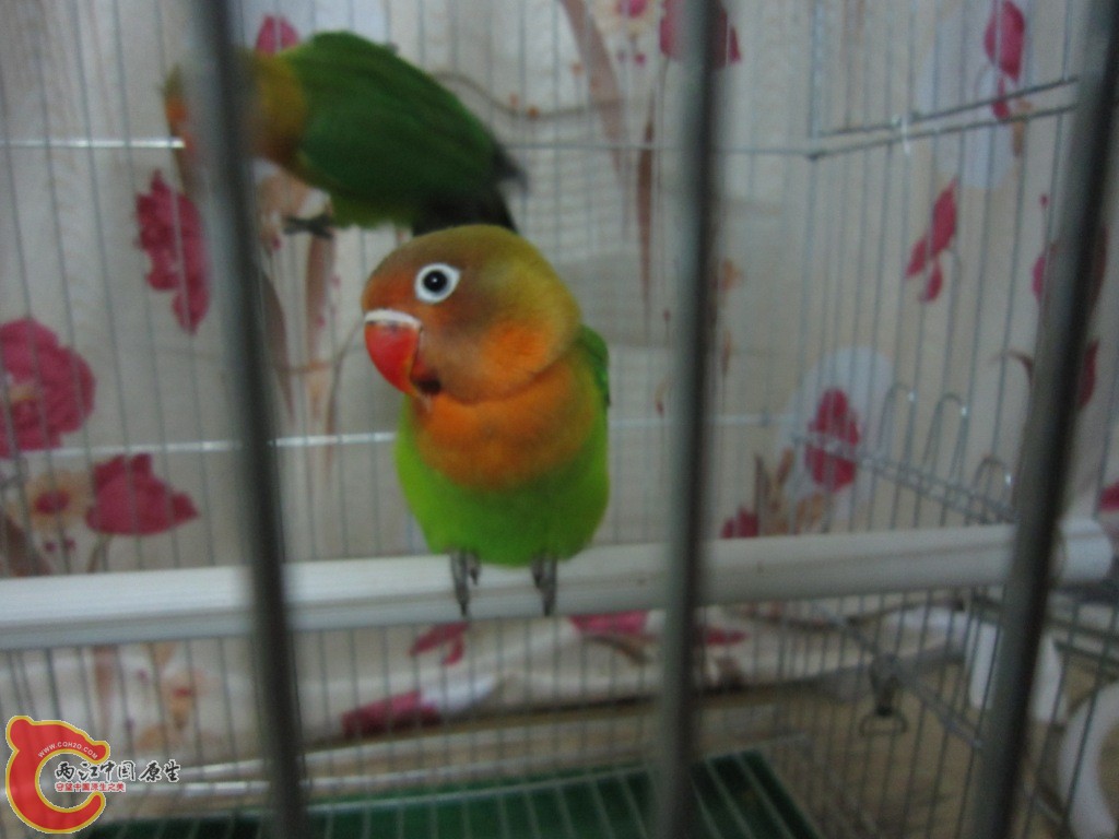 IMG_3462.JPG