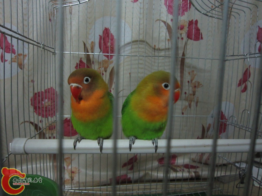 IMG_3477.JPG