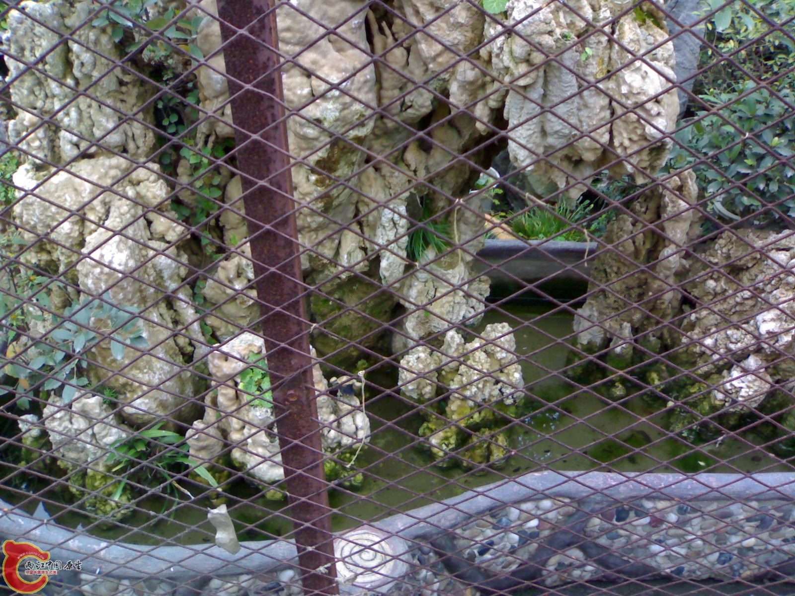 20101111840.jpg