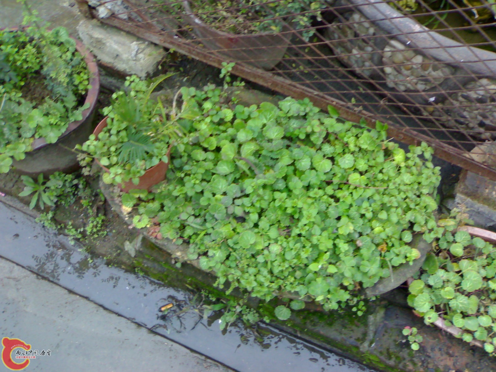 20101111842.jpg