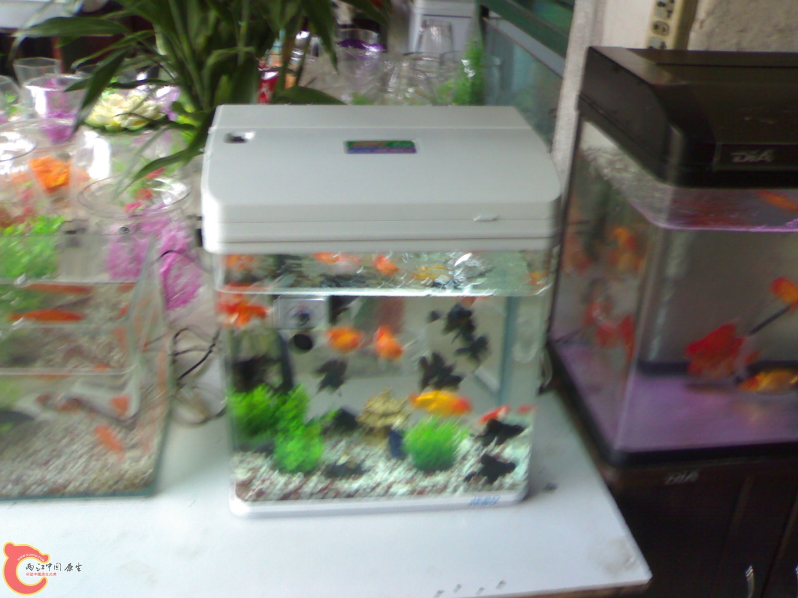 20101111843.jpg
