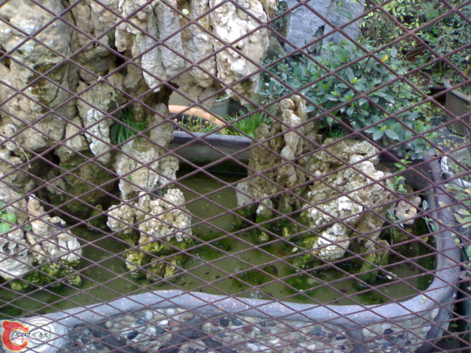 20101111841.jpg