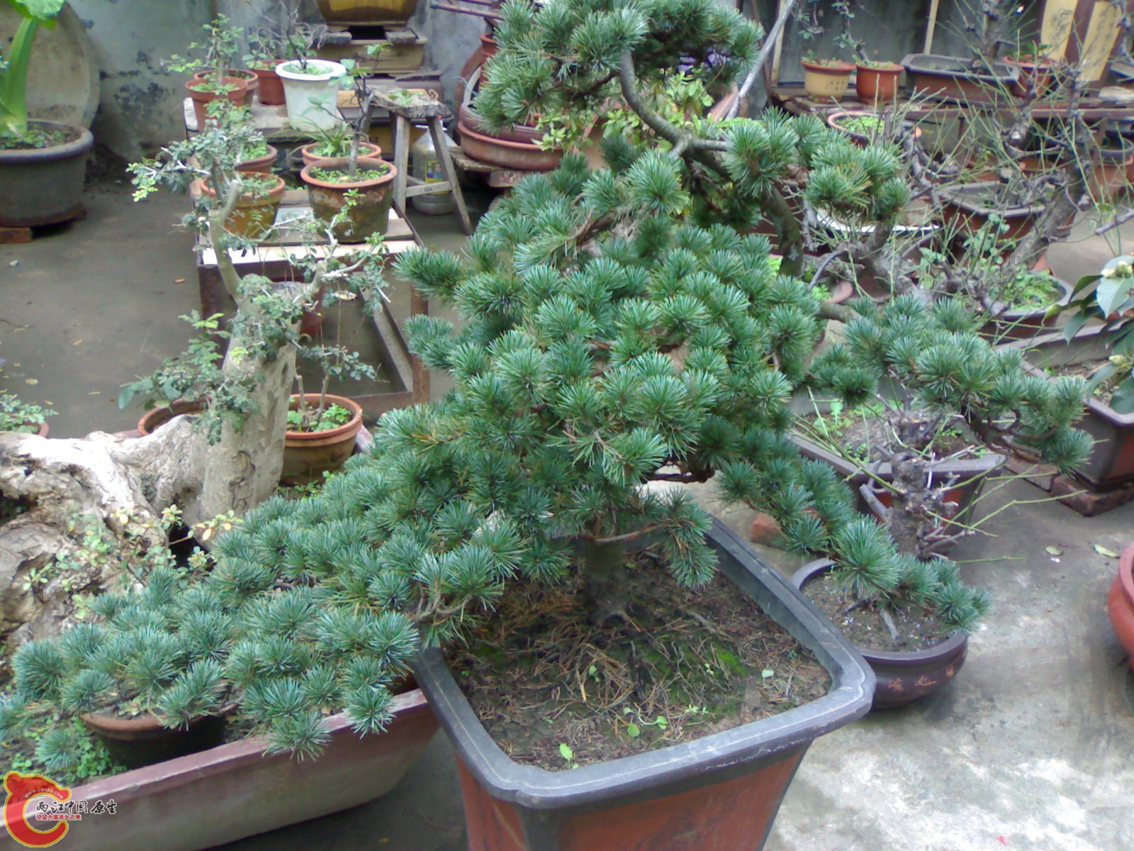 20101111847.jpg