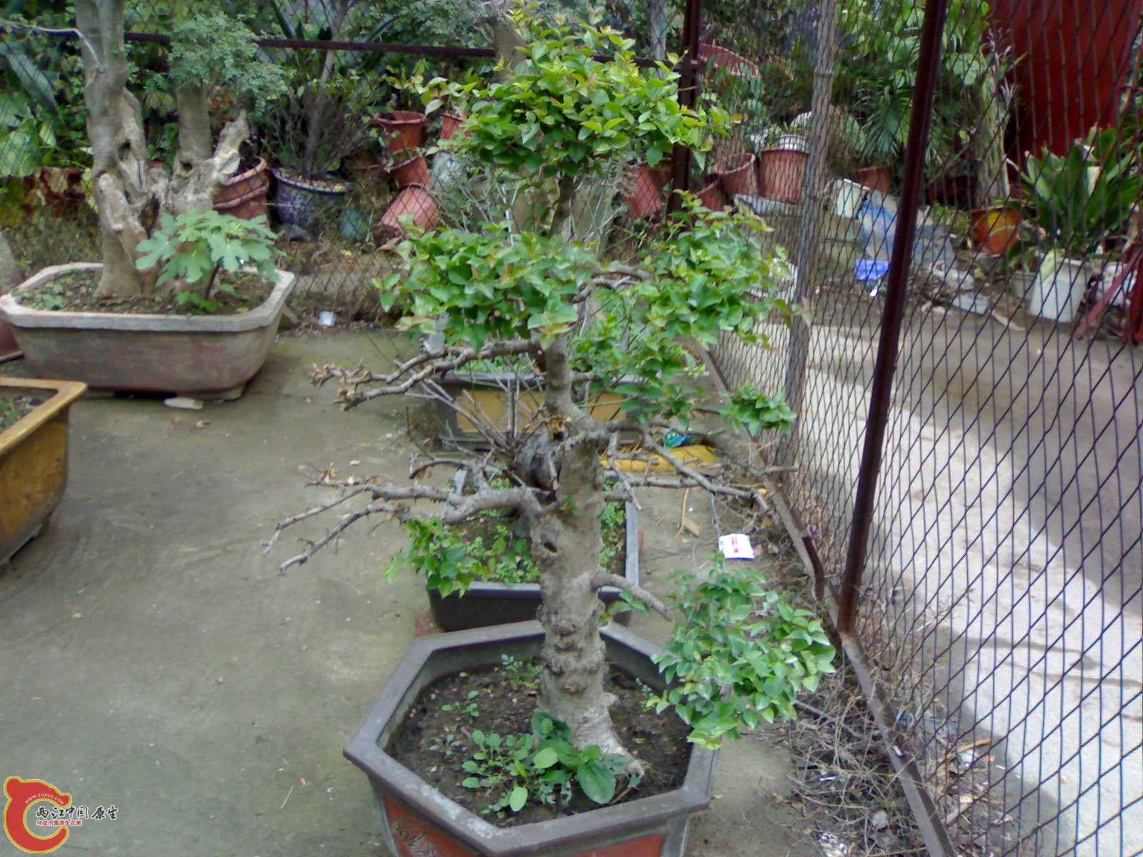 20101111845.jpg