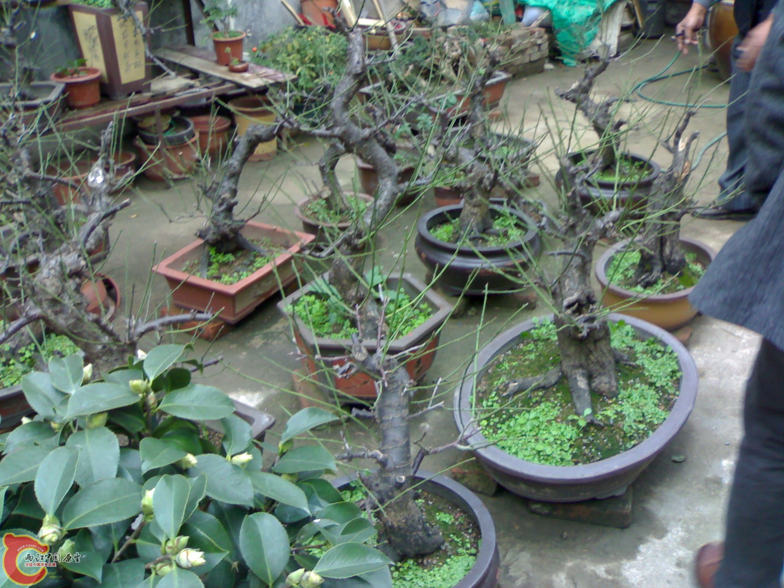 20101111848.jpg