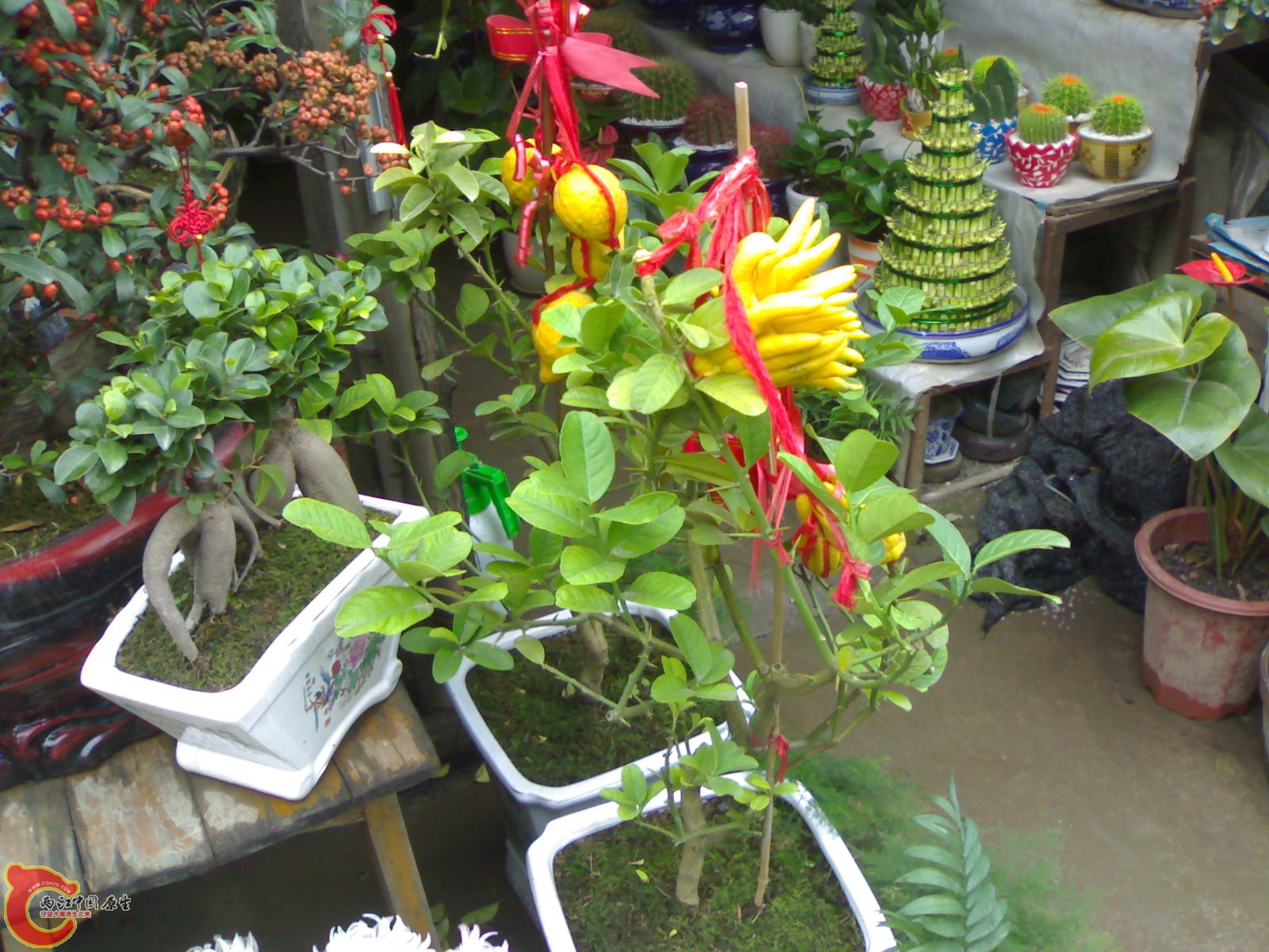 20101111852.jpg