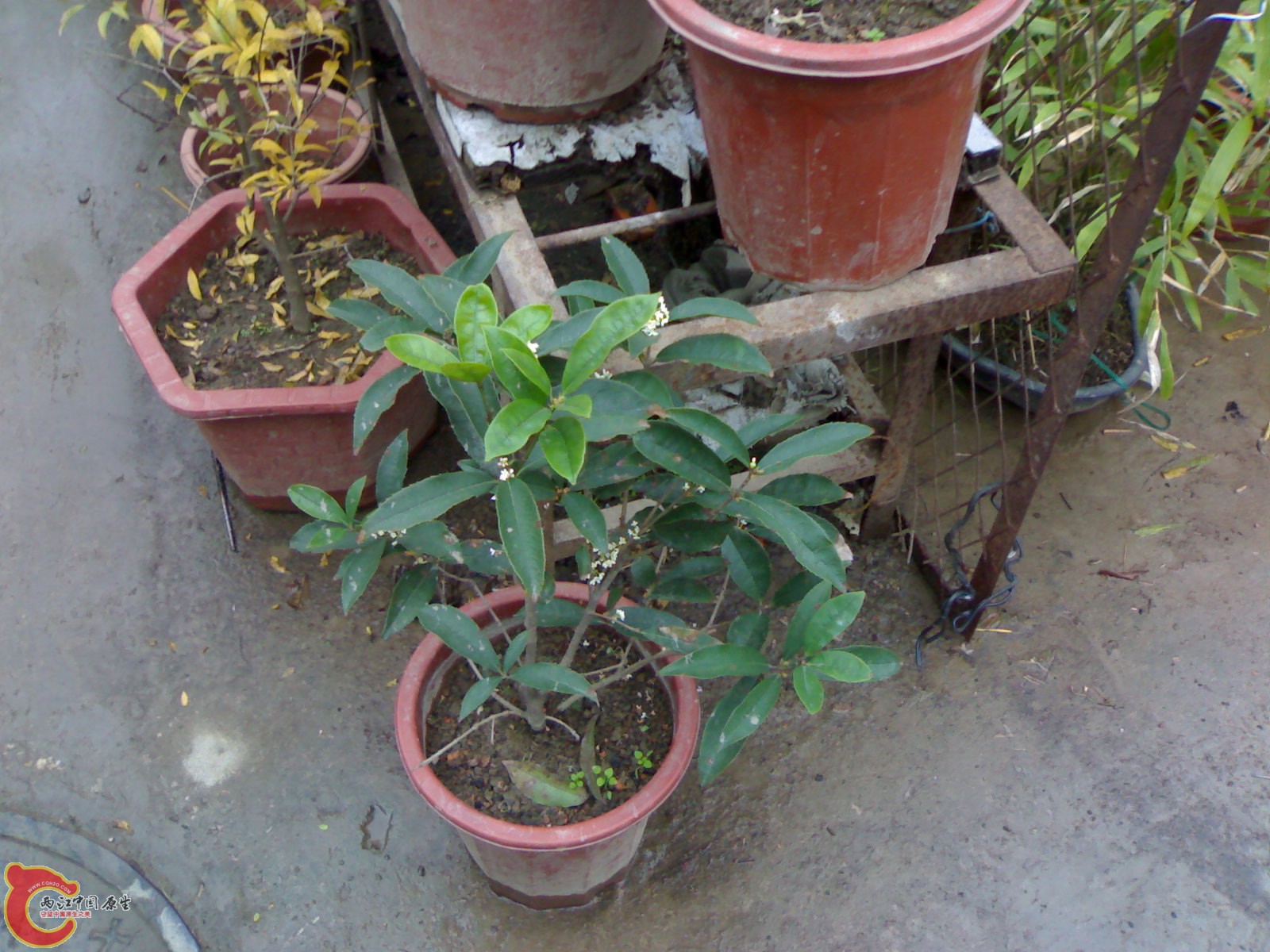 20101111853.jpg