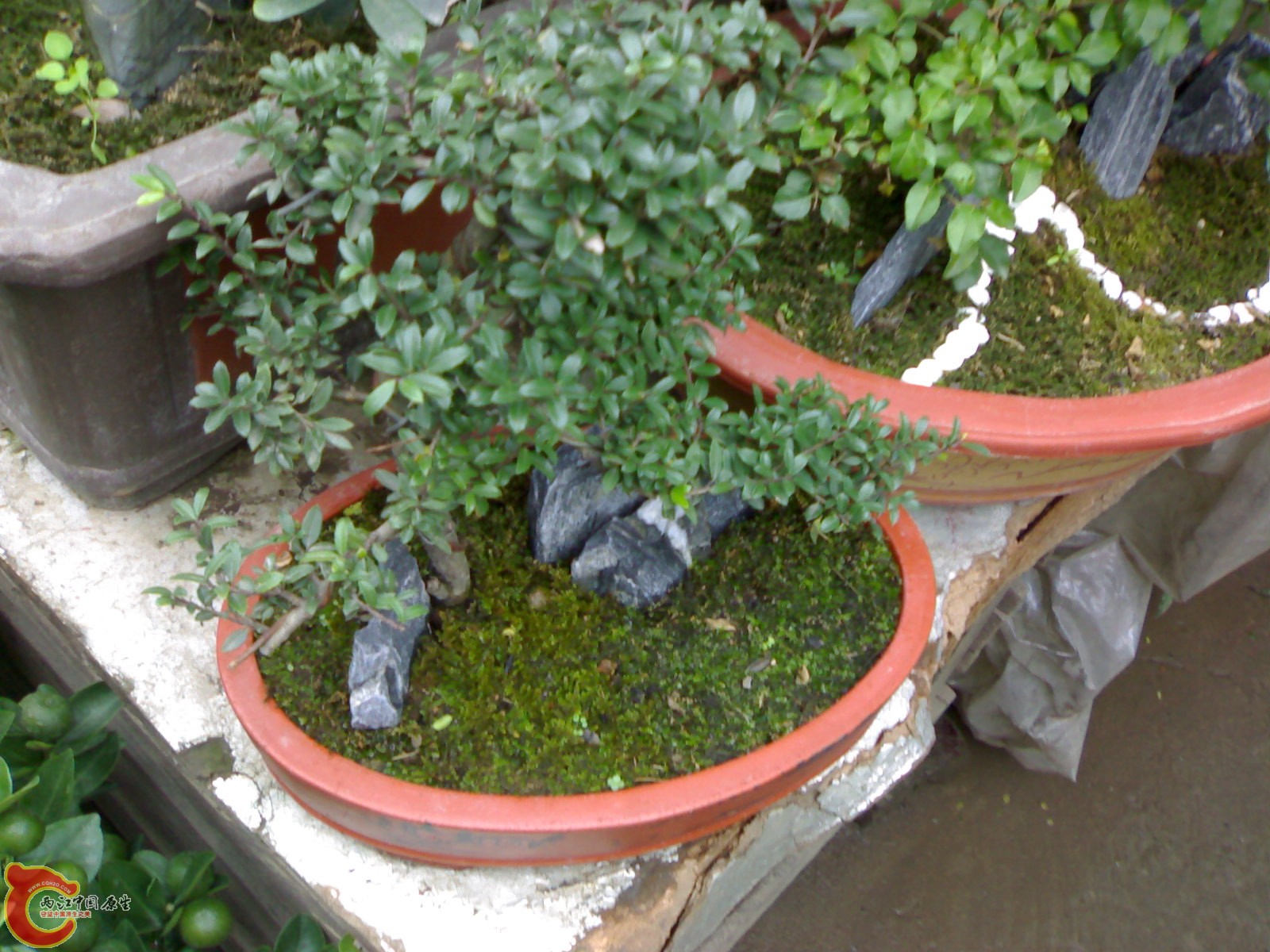 20101111854.jpg