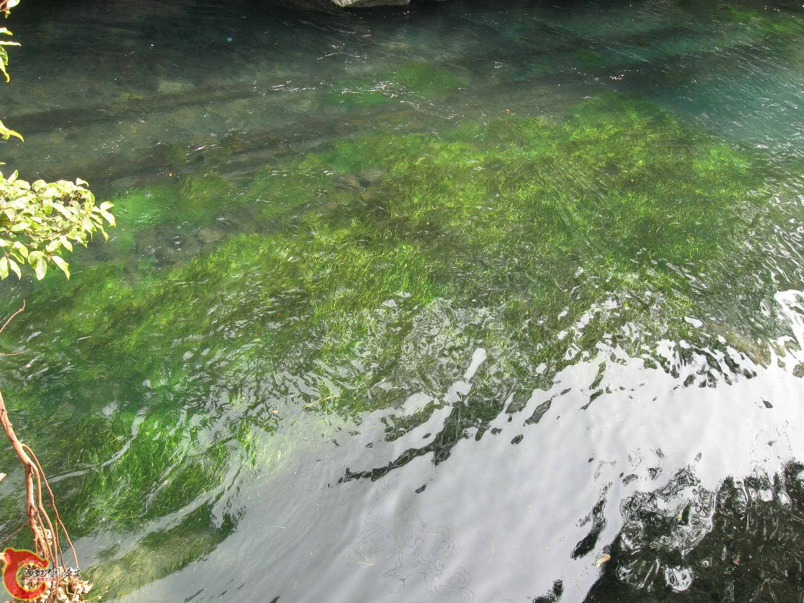 调整大小 照片 046.jpg