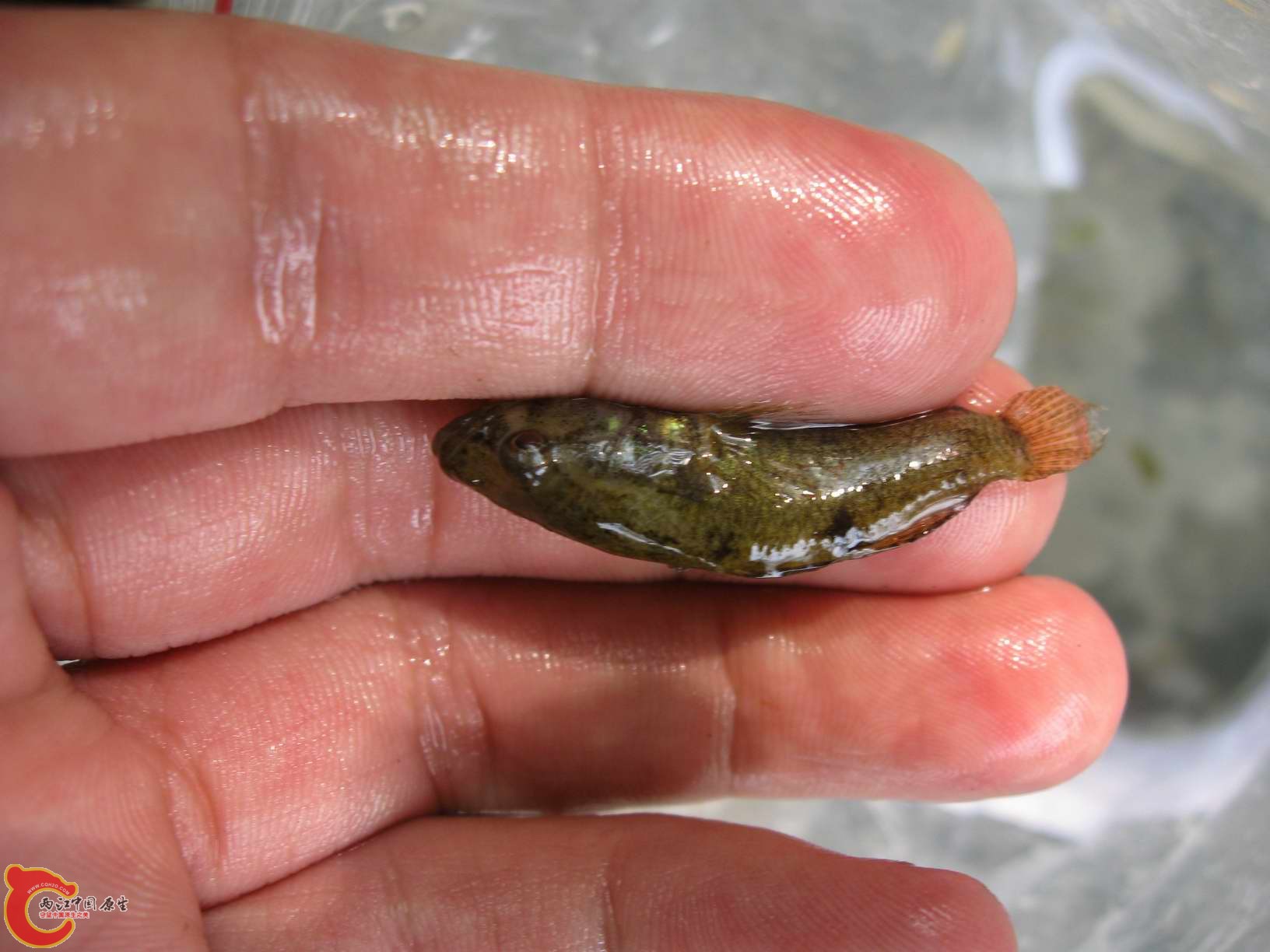 被我友好用手地请上来拍了几张相片...