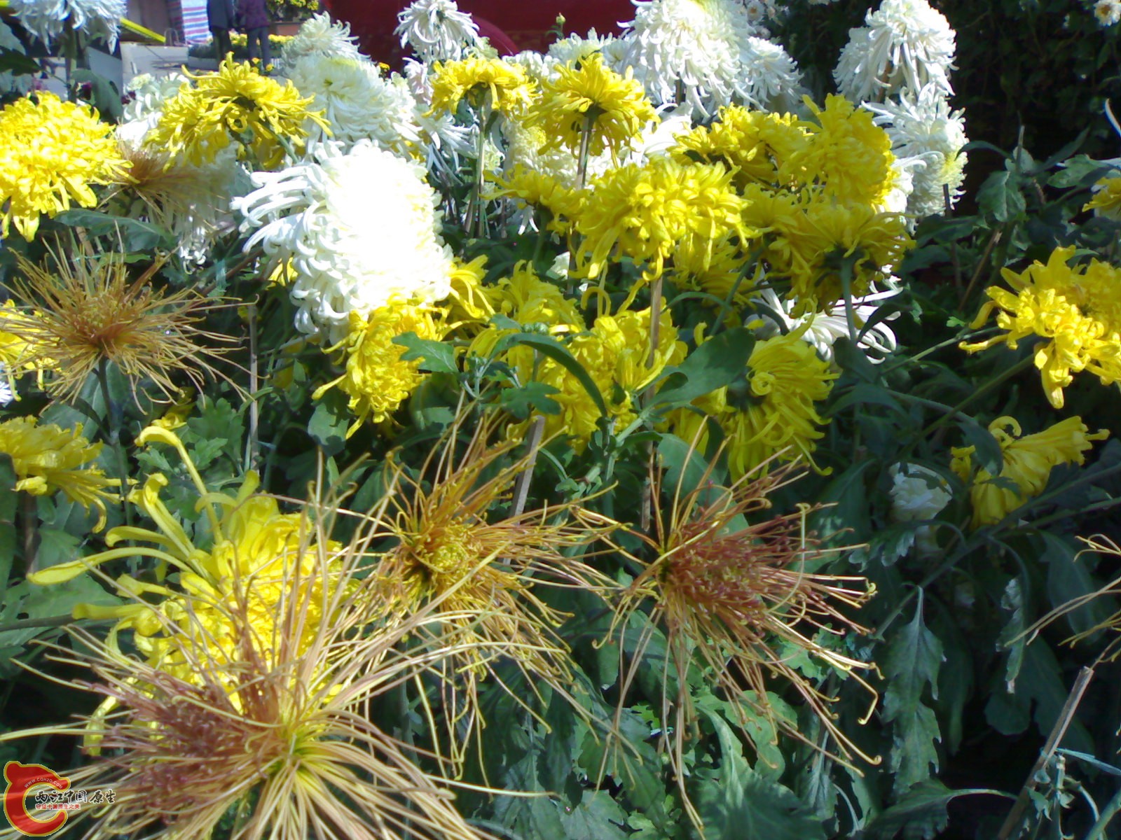20101112876.jpg