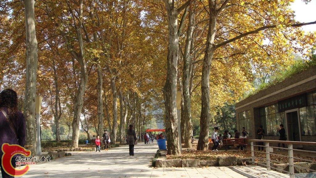 DSC02467.JPG