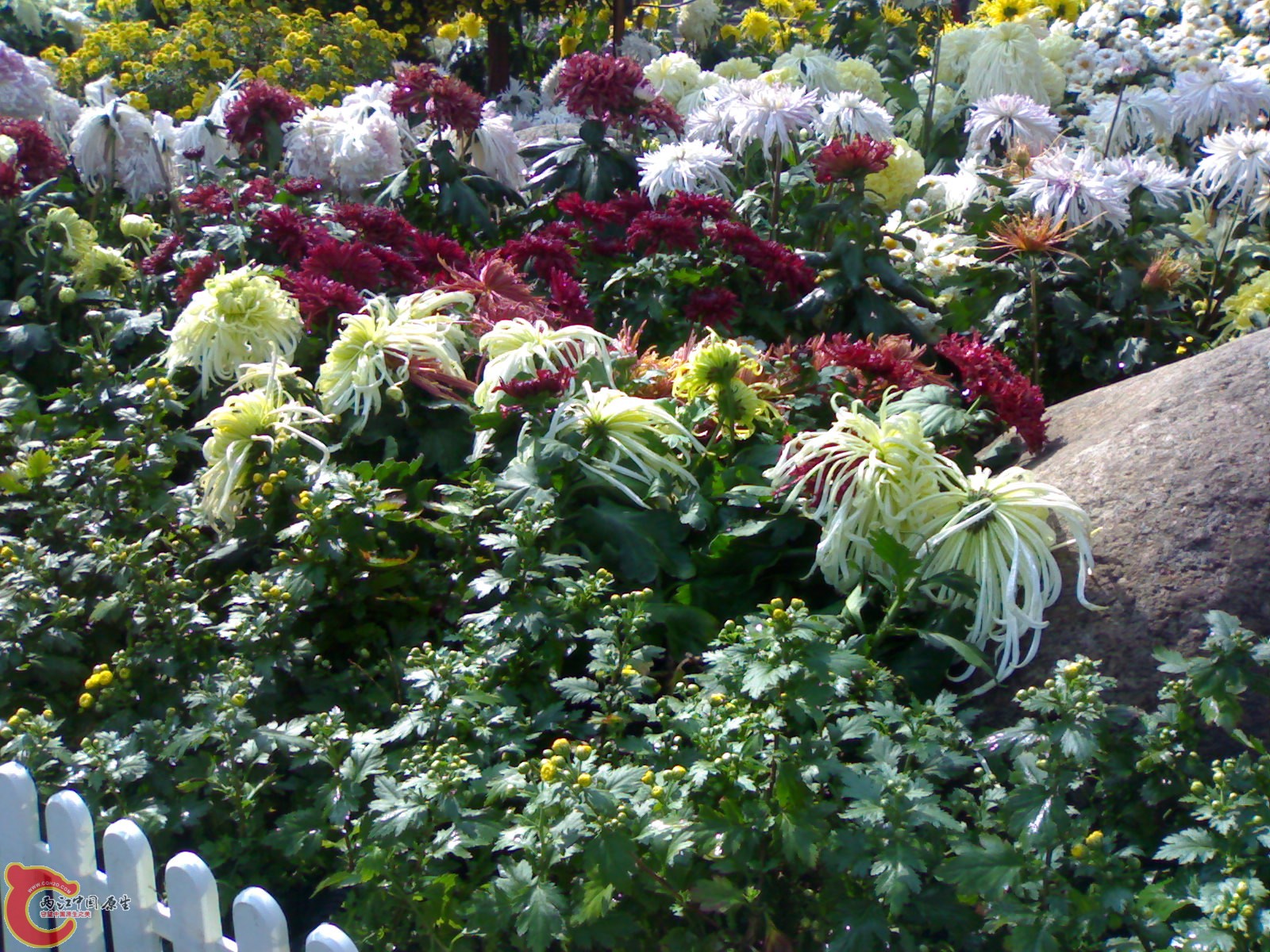 20101112873.jpg