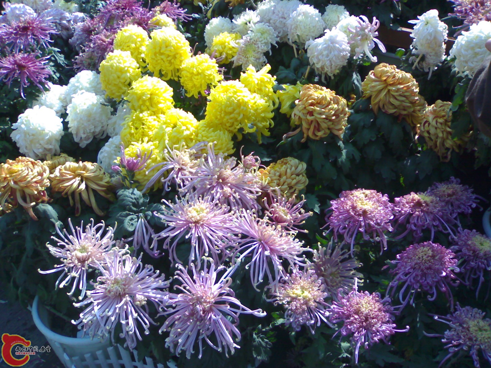 20101112877.jpg