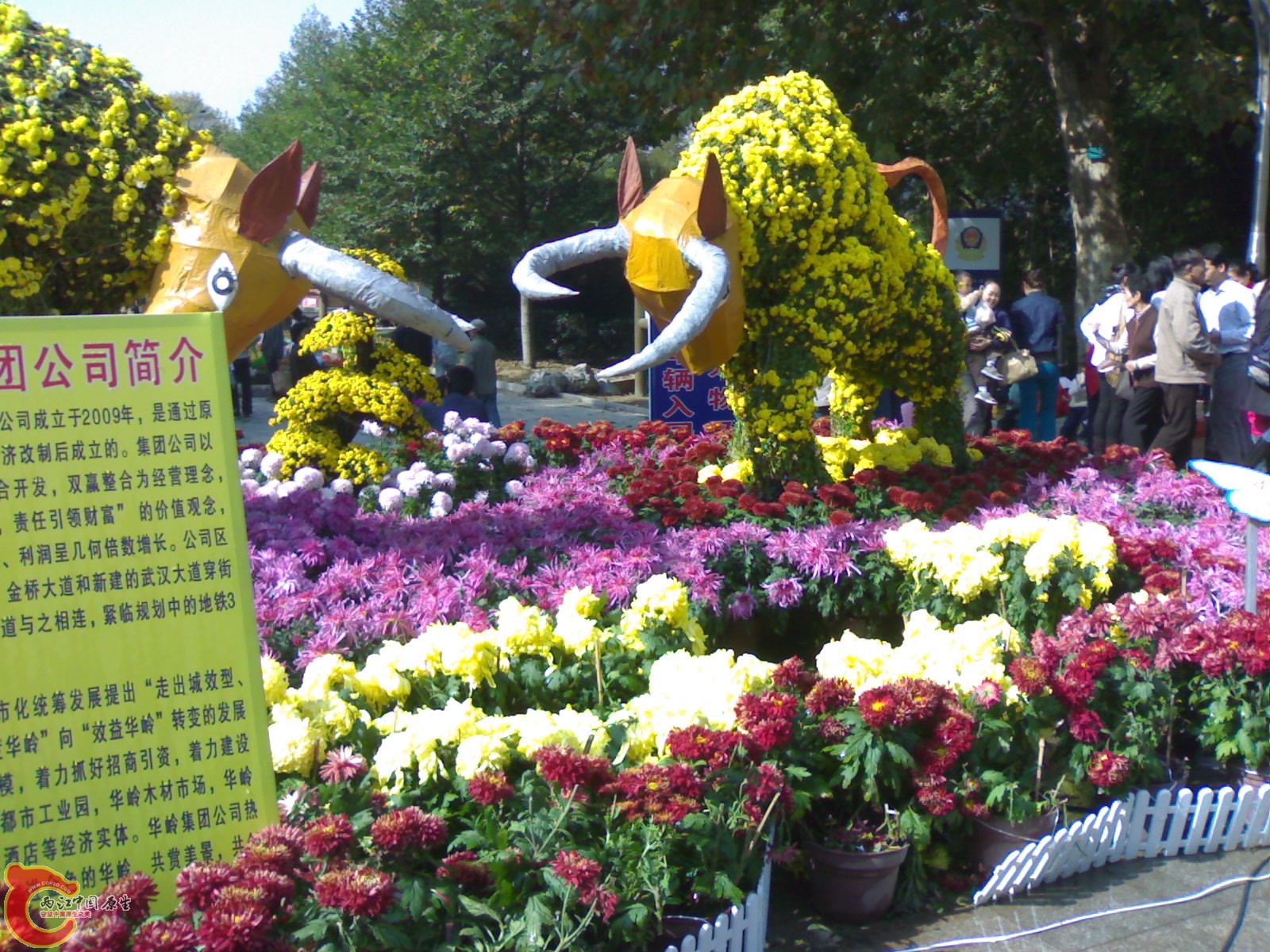 20101112879.jpg