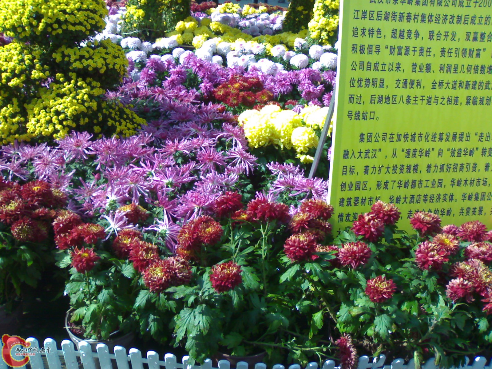 20101112880.jpg