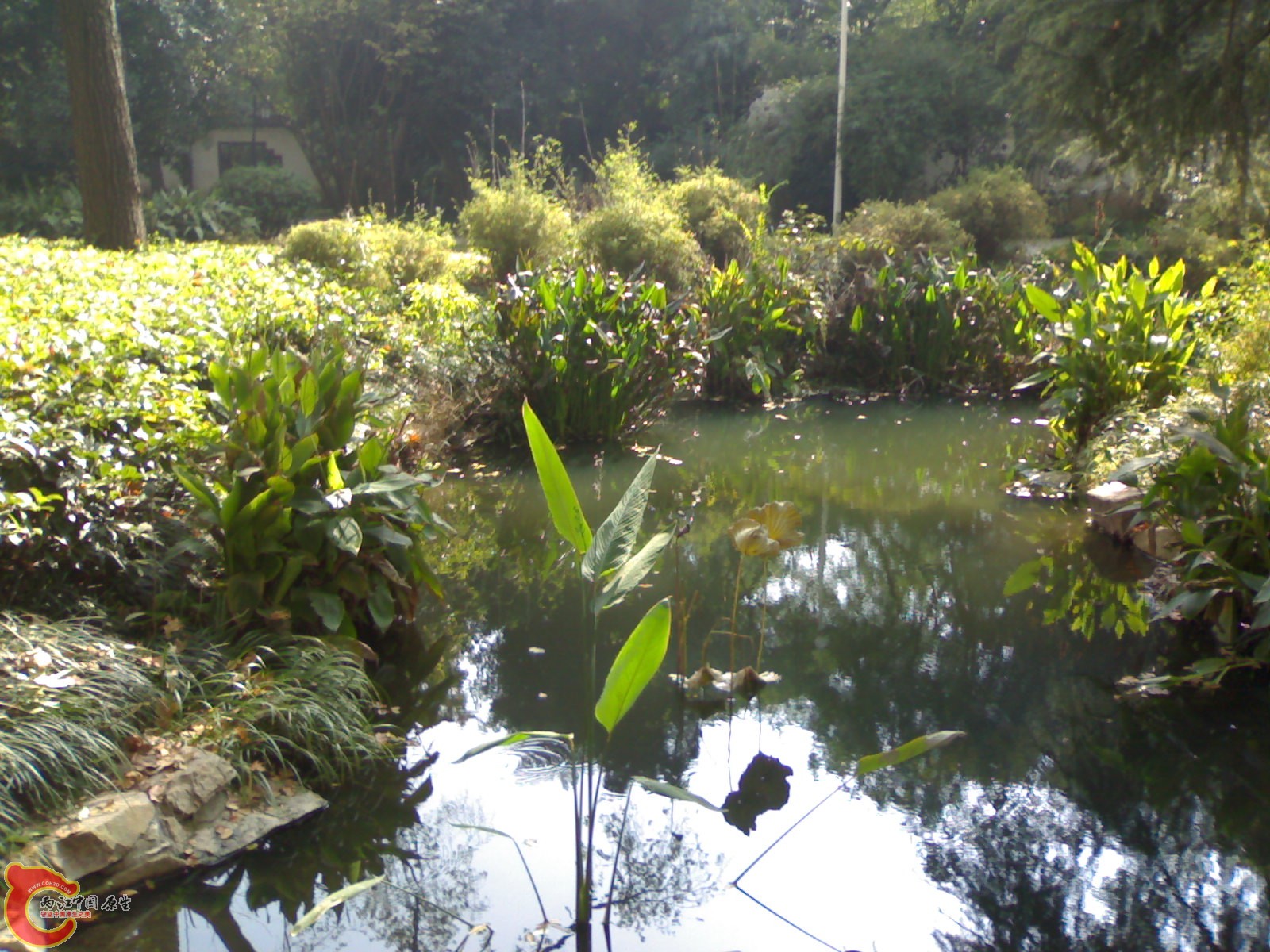 20101112884.jpg