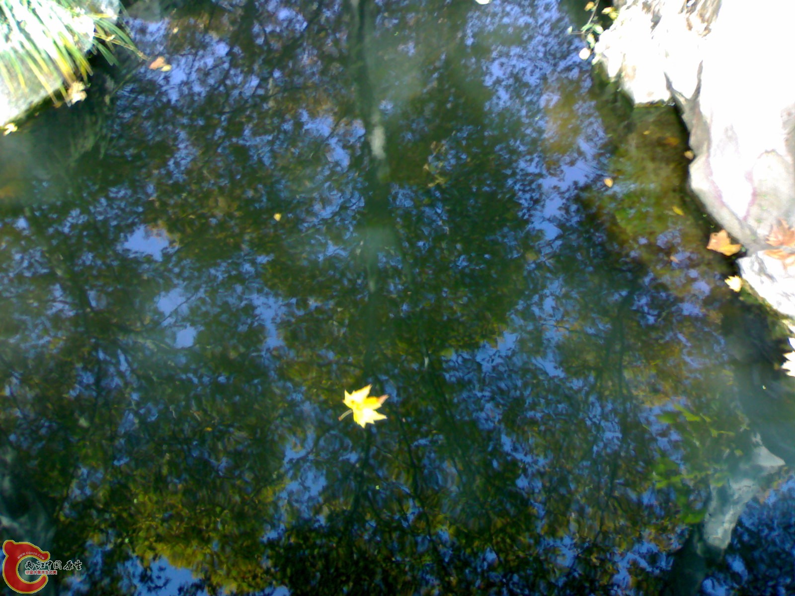 20101112883.jpg