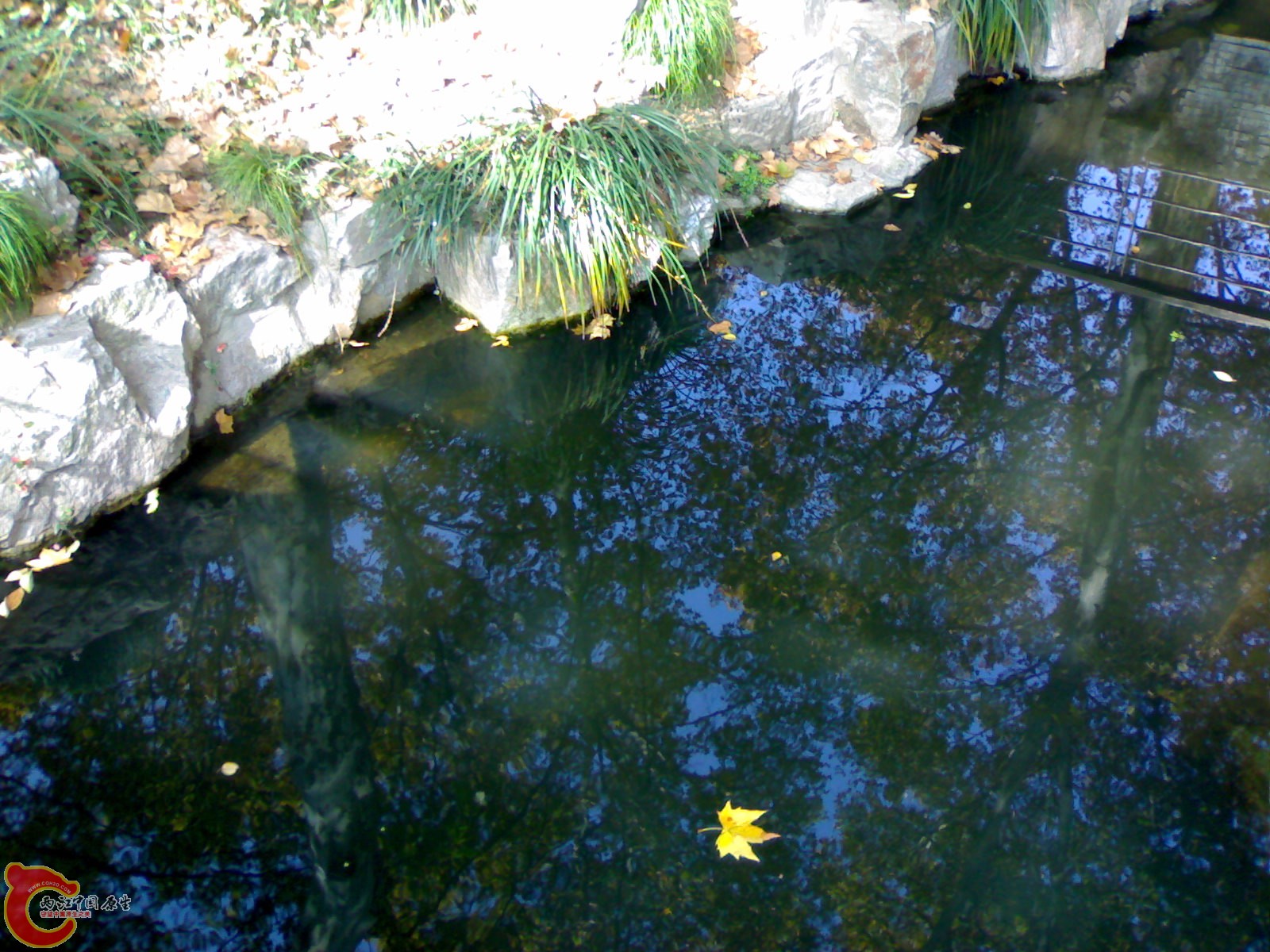 20101112882.jpg