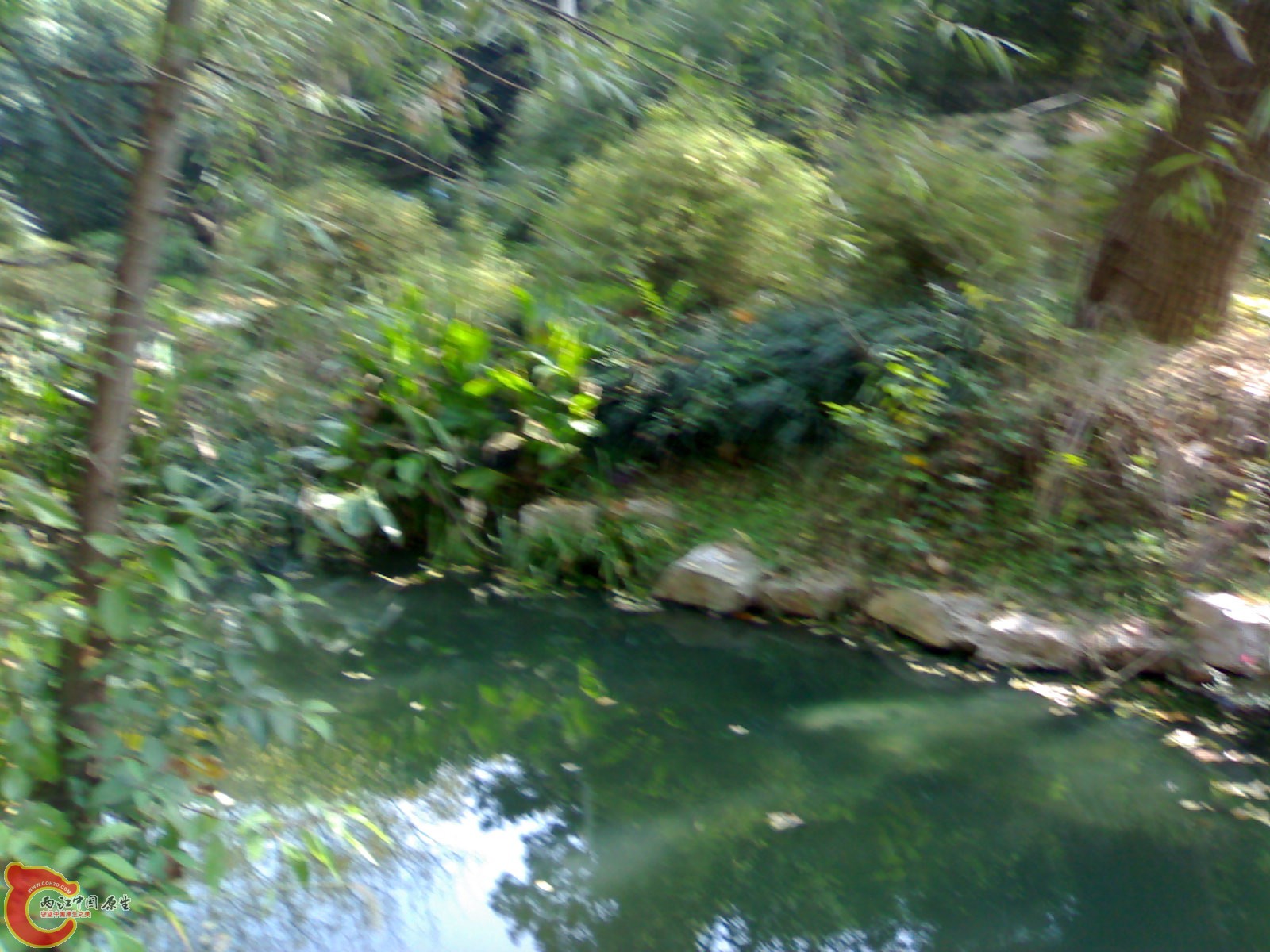 20101112885.jpg