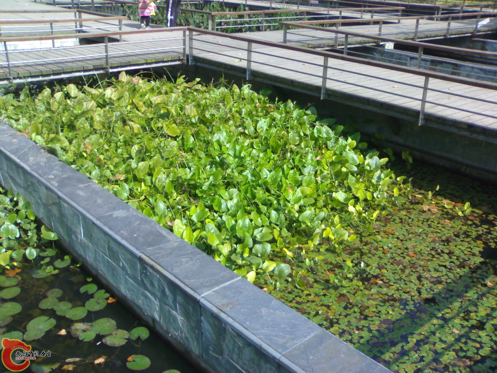 20101112889.jpg