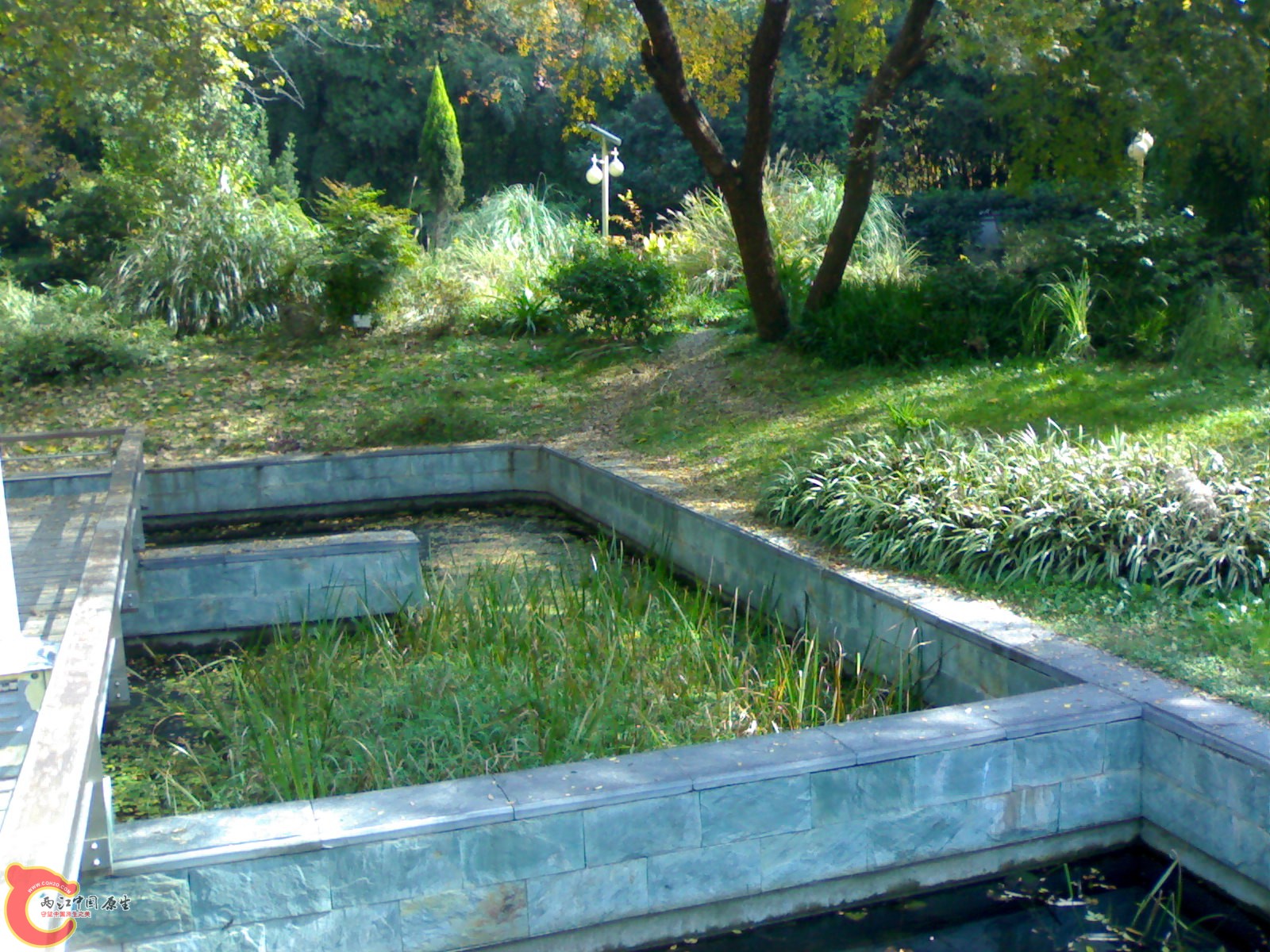 20101112890.jpg