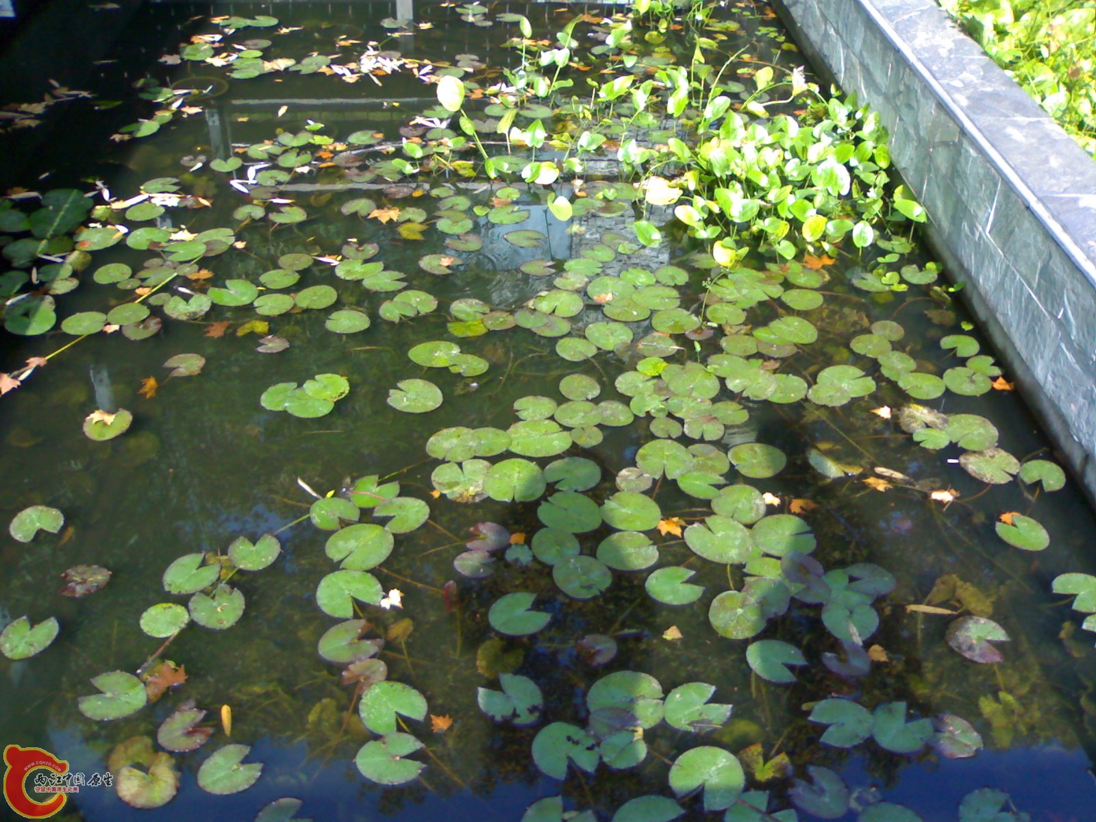 20101112888.jpg